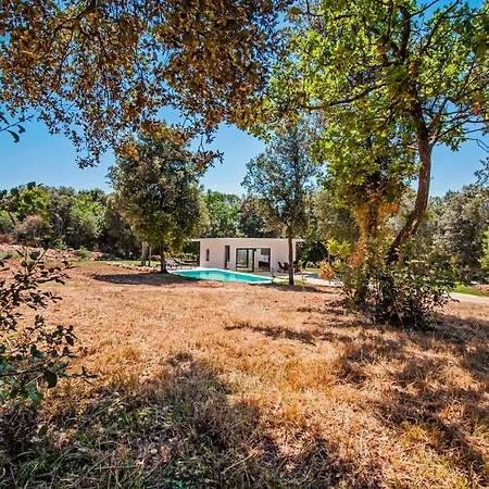 Villa David *